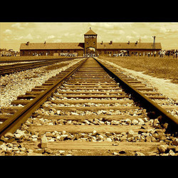 Auschwitz - Birkenau Bande Originale (Mark Sach) - Pochettes de CD