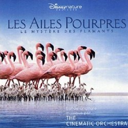 Les Ailes Pourpres : Le Mystre des Flamants Bande Originale (The Cinematic Orchestra) - Pochettes de CD